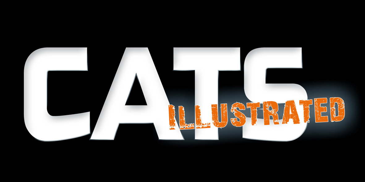 logo-catsIllu_2013